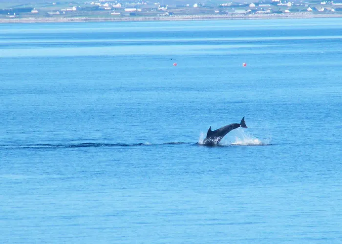 فندق مبيت وإفطار Leim Siar 4*